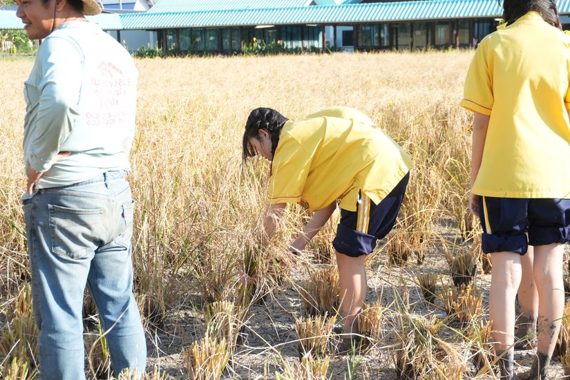 โรงเรียนปรีชานุศาสน์