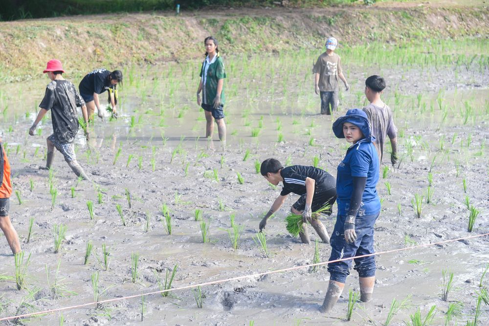 โรงเรียนปรีชานุศาสน์