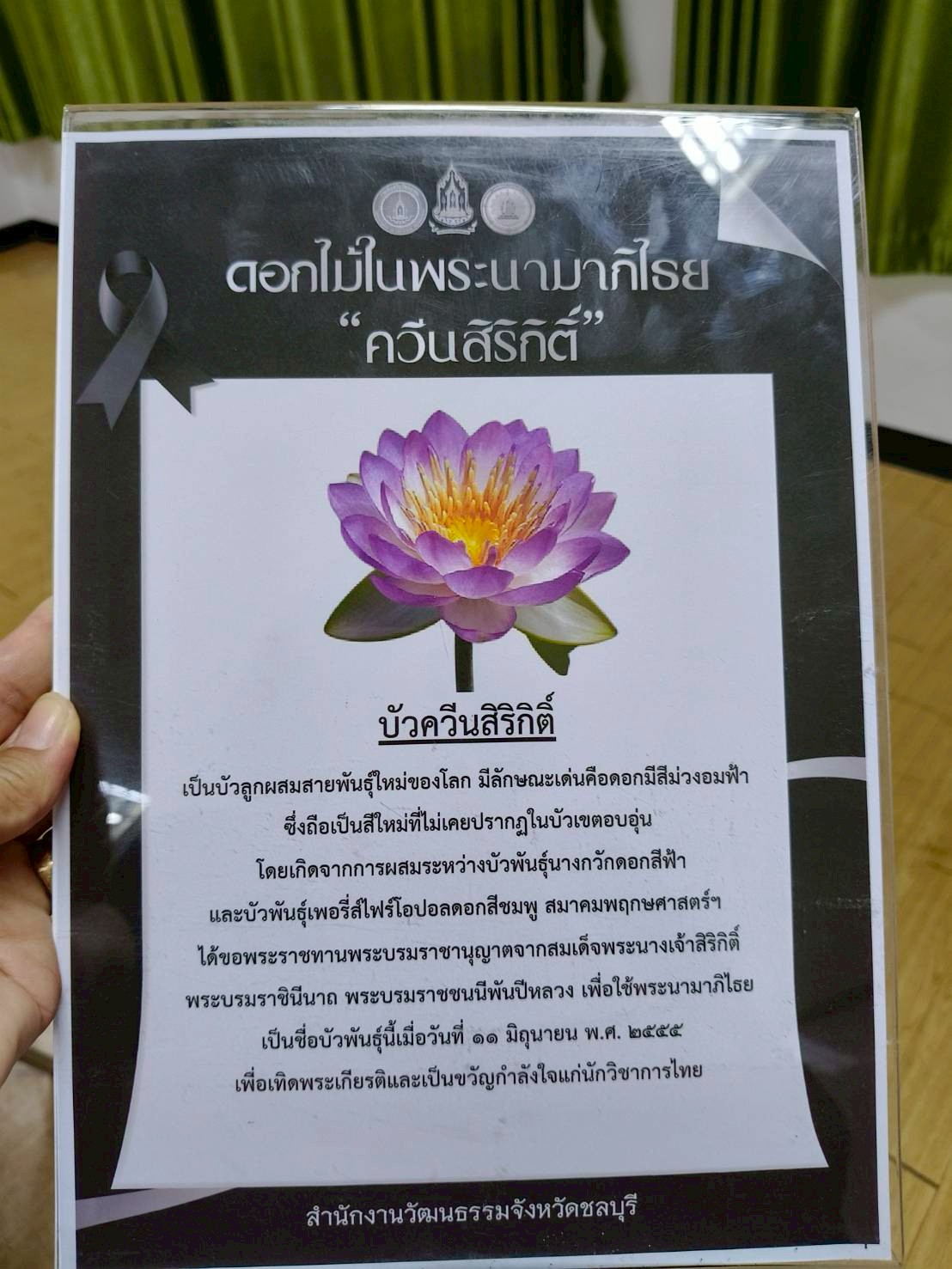 โรงเรียนปรีชานุศาสน์