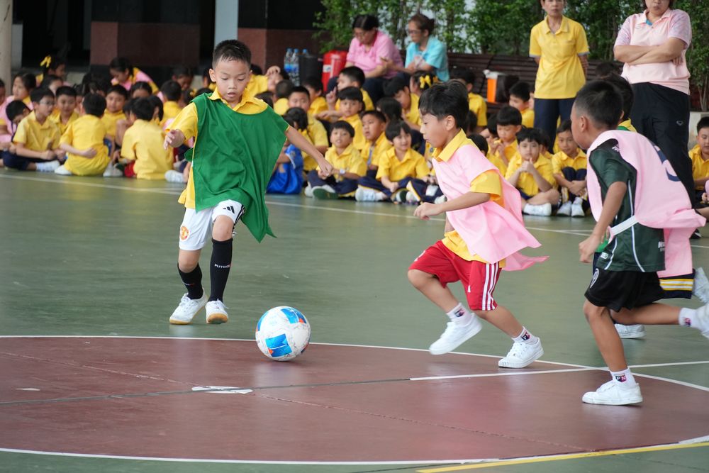 โรงเรียนปรีชานุศาสน์