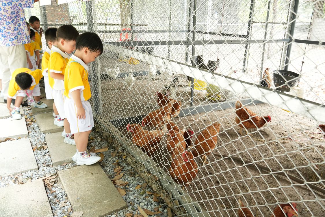 โรงเรียนปรีชานุศาสน์