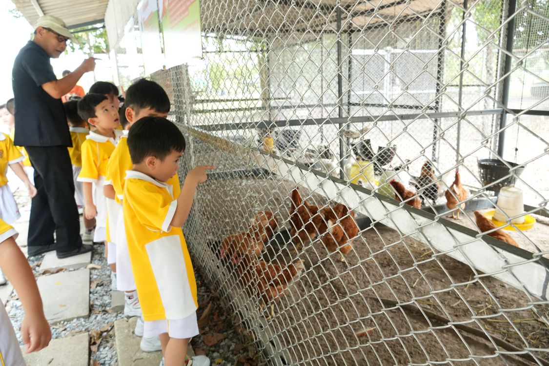 โรงเรียนปรีชานุศาสน์