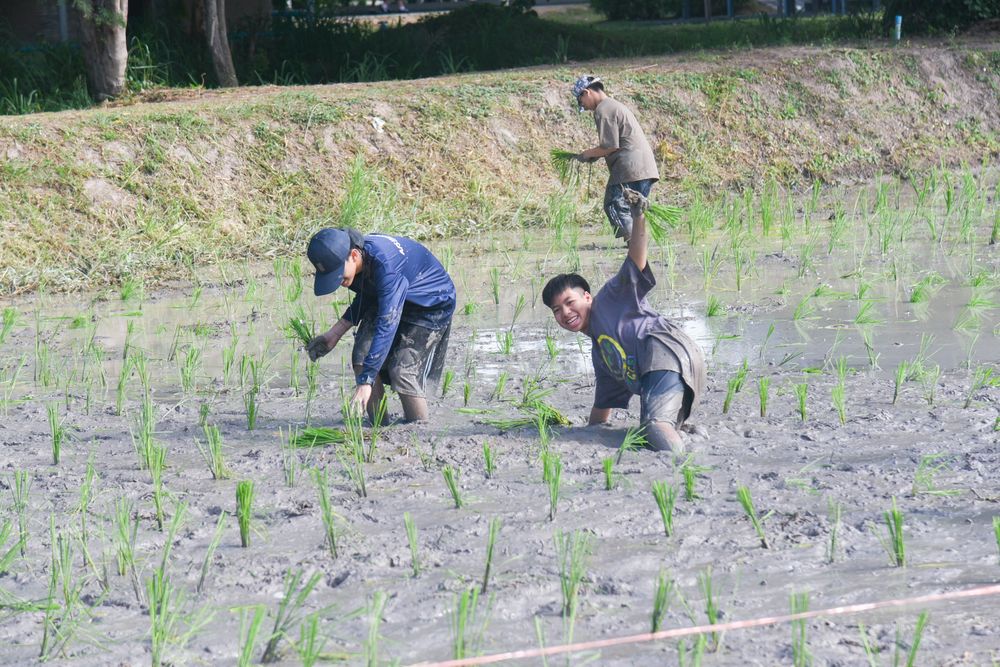 โรงเรียนปรีชานุศาสน์