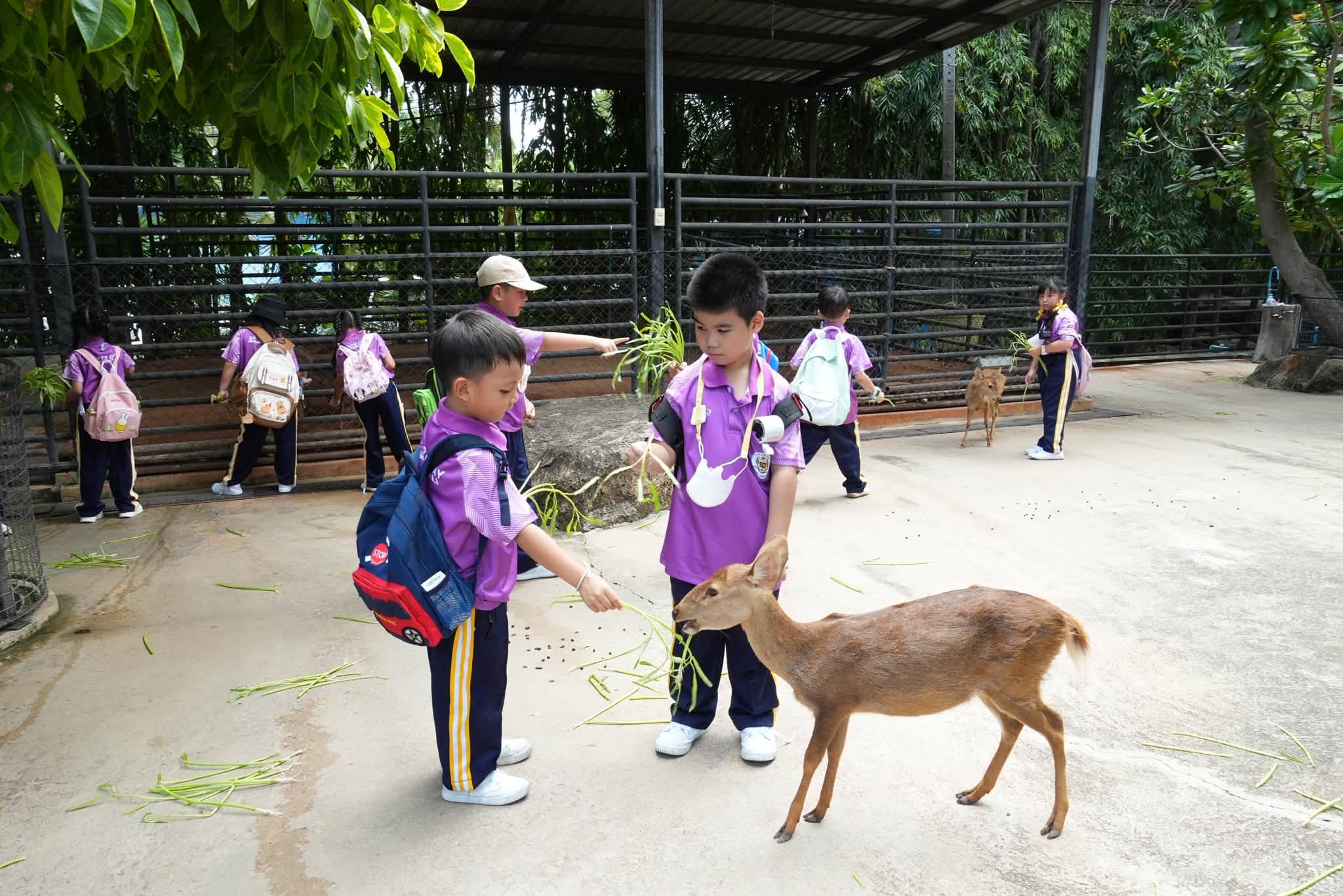 โรงเรียนปรีชานุศาสน์