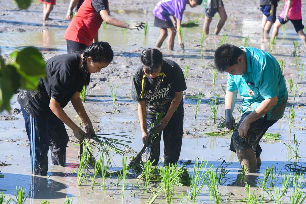 โรงเรียนปรีชานุศาสน์